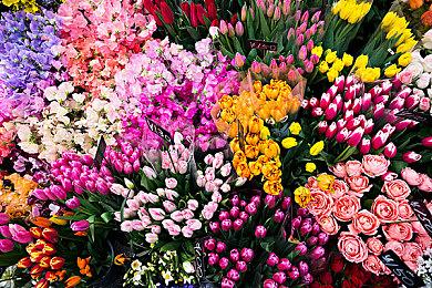 模拟养成游戏《美国式家长》现已推出试玩Demo 支持中文